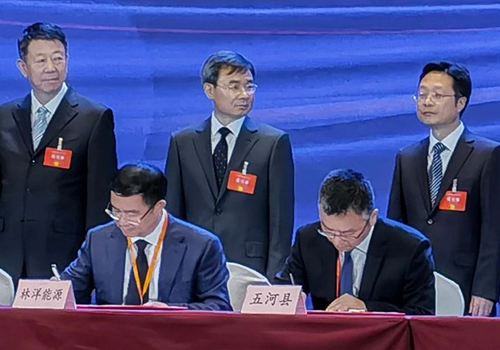 尊龙凯时能源与五河县人民政府共同推进风光储一体化项目及光伏组件项目